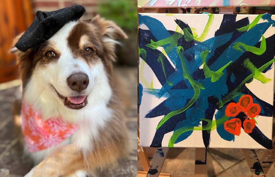 Ivy Kite é uma cadela artista que vive na Carolina do Norte, nos EUA
