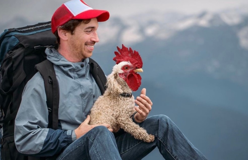 Na foto, o artista canadense Martin Bullock e um animal criado a partir da junção das fotografias de um galo e um poodle — Foto: Martin Bullock/ Divulgação