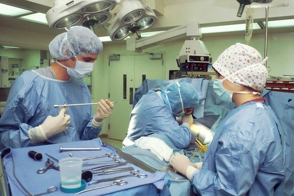 O médico-veterinário cirurgião realiza procedimentos eletivos e terapêuticos — Foto: ( Unsplash/ National Cancer Institute/ CreativeCommons)