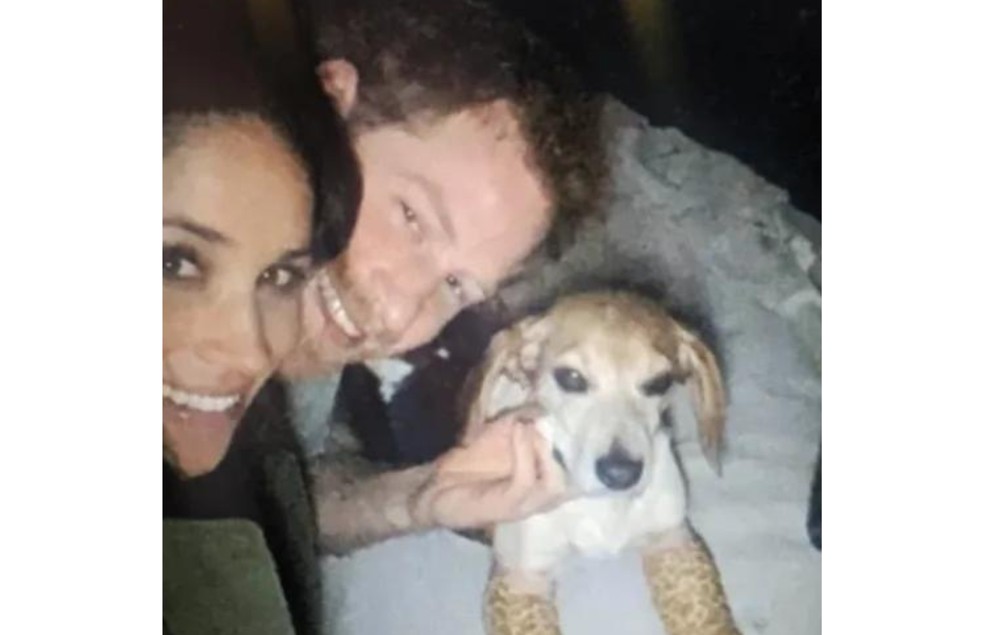 Harry fez o pedido de casamento na presença de Guy, cão de Meghan Markle — Foto: Netflix/ Reprodução 