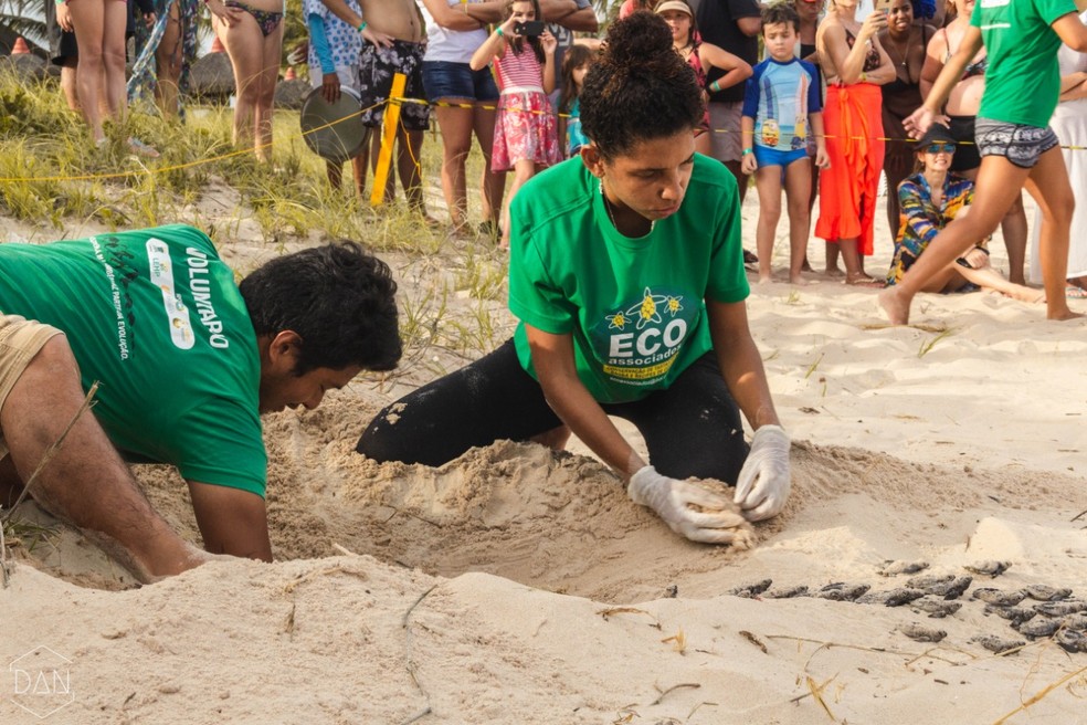 Soltura de filhotes na ONG Ecoassociados — Foto: ONG Ecoassociados/ Divulgação
