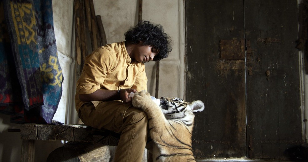 Sunny Pawar é protagonista de 'O Menino e o Tigre' — Foto: Diamond Filmes/ Divulgação