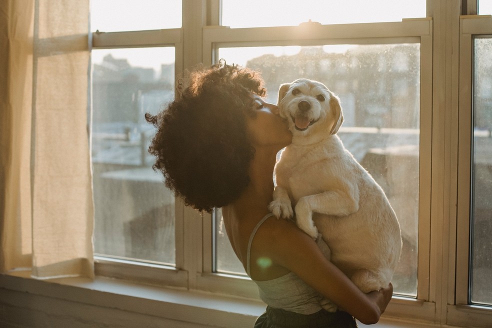 Presença de pets no ambiente de trabalho pode reduzir níveis de estresse de funcionários — Foto: Pexels/ Samson Katt/ Creative Commons