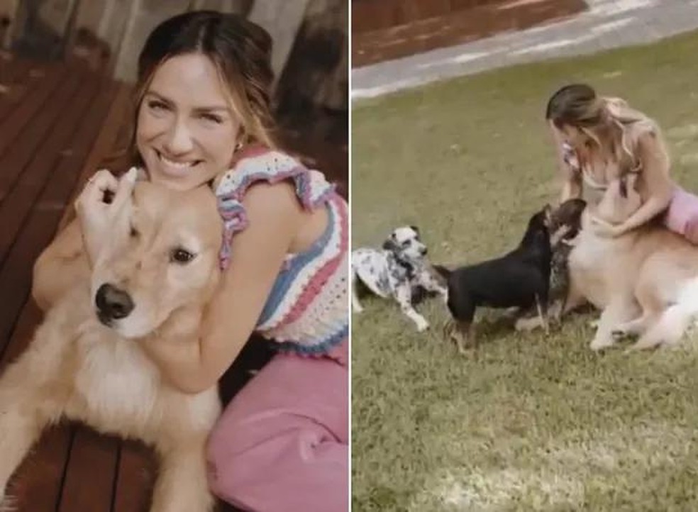 Giovanna Ewbank se diverte com seus cachorros — Foto: ( Instagram/ @gioewbank/ Reprodução)