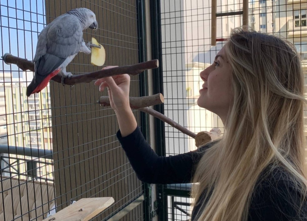 Marthina Brandt é tutora de um papagaio fêmea, que tem um viveiro em seu apartamento — Foto: Marthina Brandt/ Arquivo Pessoal
