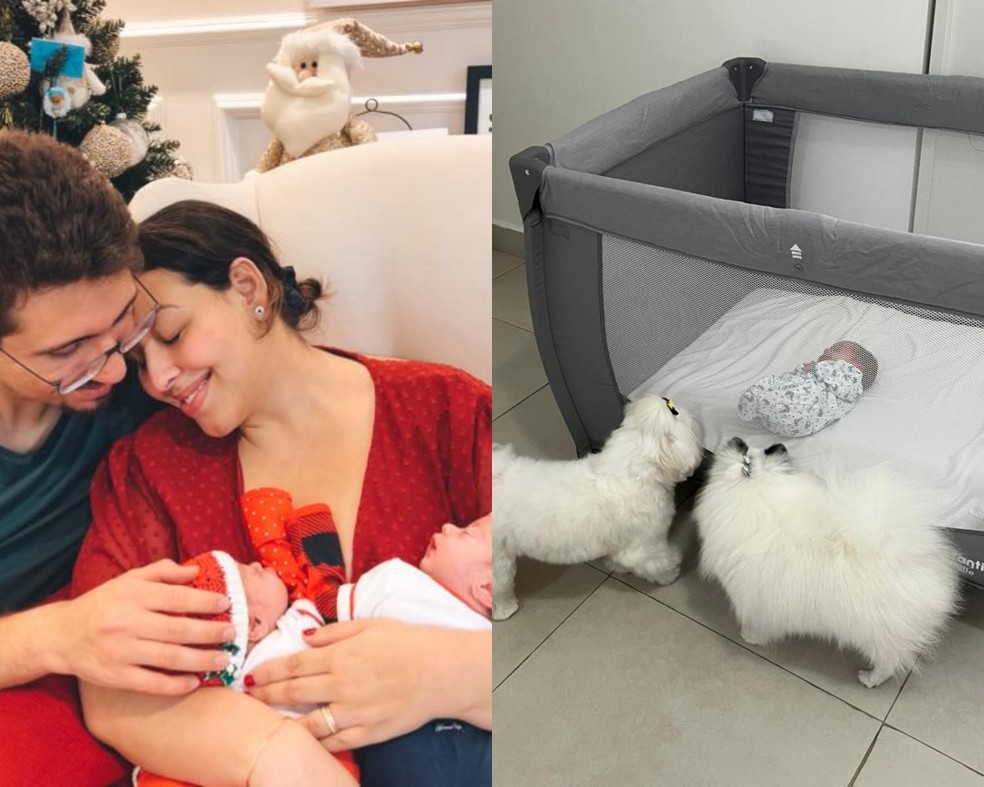 Camila Monteiro conta como realizou a adaptação em casa dos cachorros com os gêmeos Noah e Aurora — Foto: ( Arquivo Pessoal)