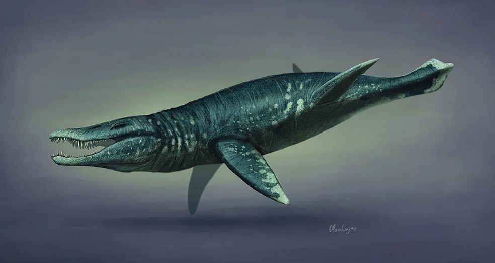 Reconstrução gráfica do Pliosaurus — Foto: ( Mario Lanzas/ Wikimedia Commons/ CreativeCommons)