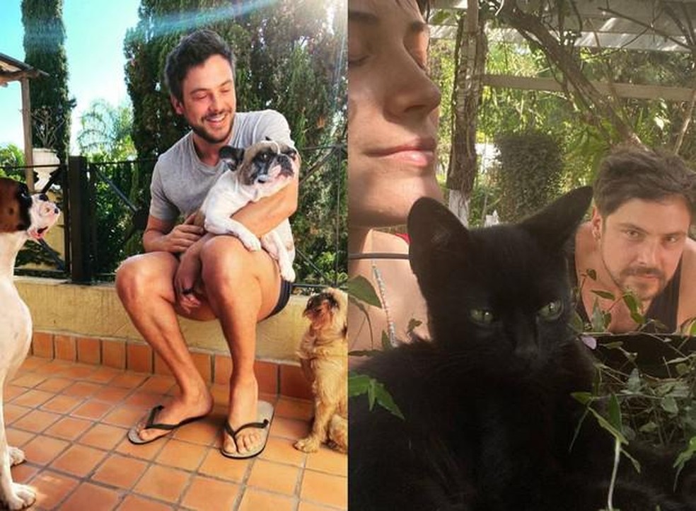 Sergio Guizé com seus três cachorros e com o gato que adotou recentemente com a mulher, Bianca Bin — Foto: ( Instagram/ @sergioguize @biancafbin/ Reprodução)