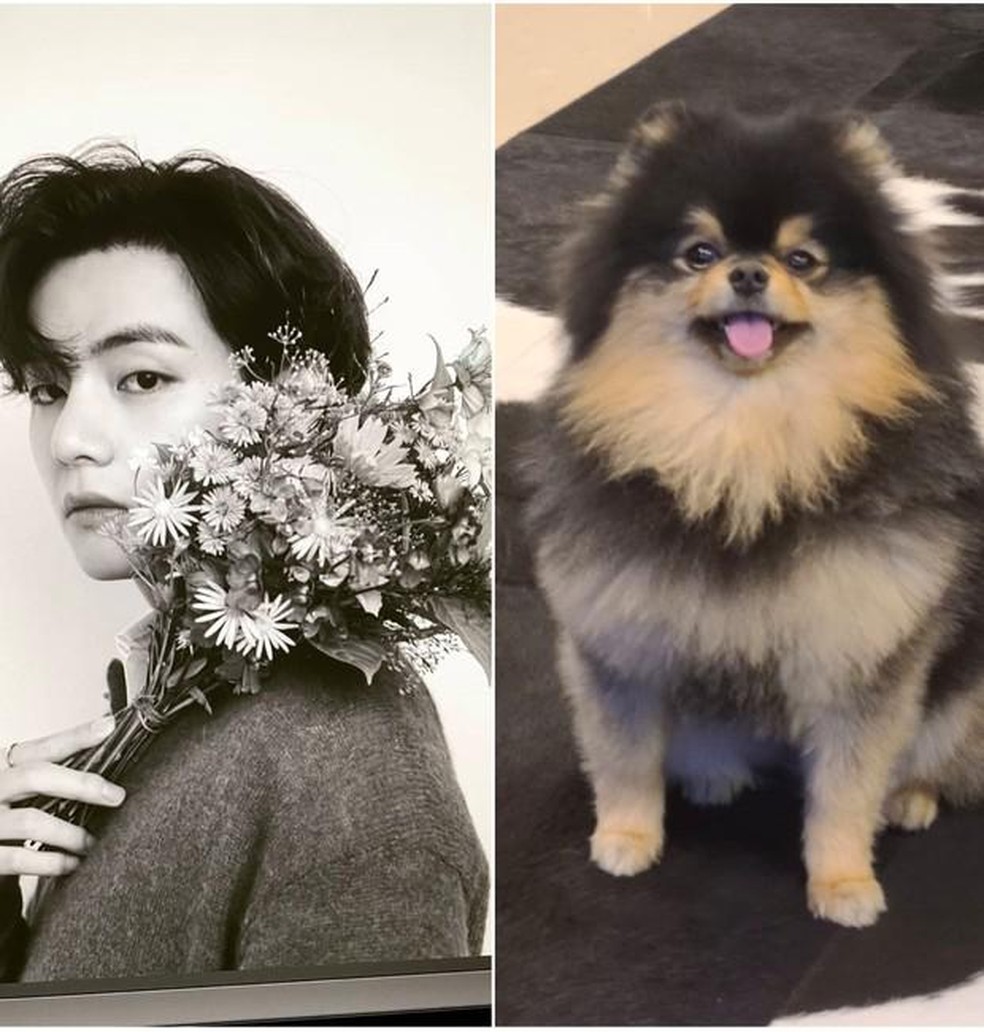 Kim Tae-Hyung, do BTS, e seu cachorro, Yeontan — Foto: ( Reprodução / Instagram)