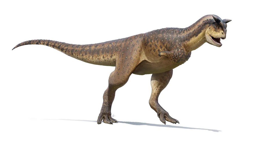 Reconstrução gráfica do Carnotaurus sastrei — Foto: ( Fred Wierum/ Wikimedia Commons/ CreativeCommons)