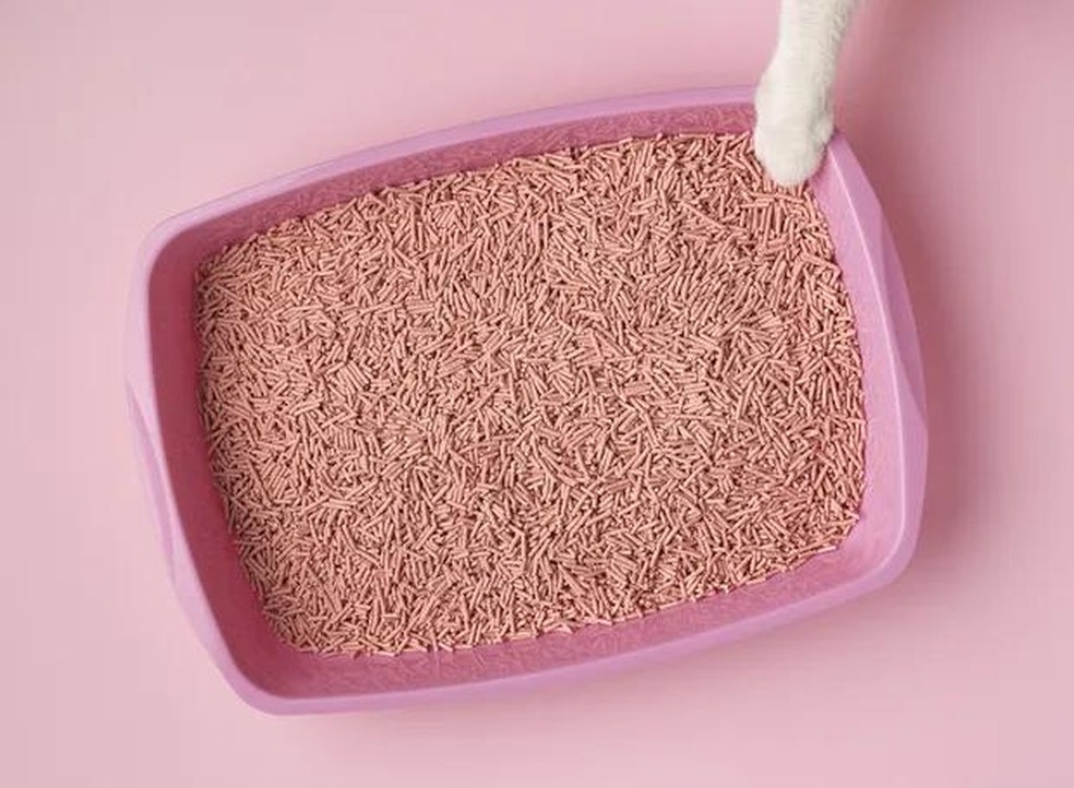 Para caixas de areia, é indicado utilizar substratos sem odores — Foto: ( Freepik/ CreativeCommons)