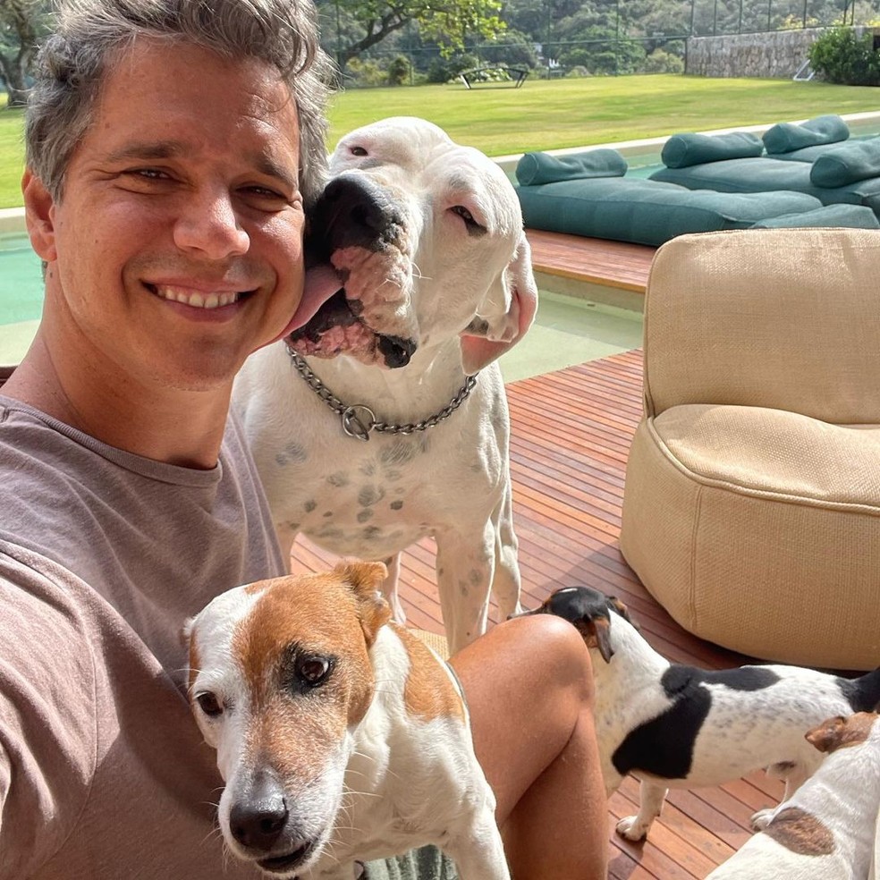 Marcio Garcia ao lado dos cachorros — Foto: Reprodução / Instagram
