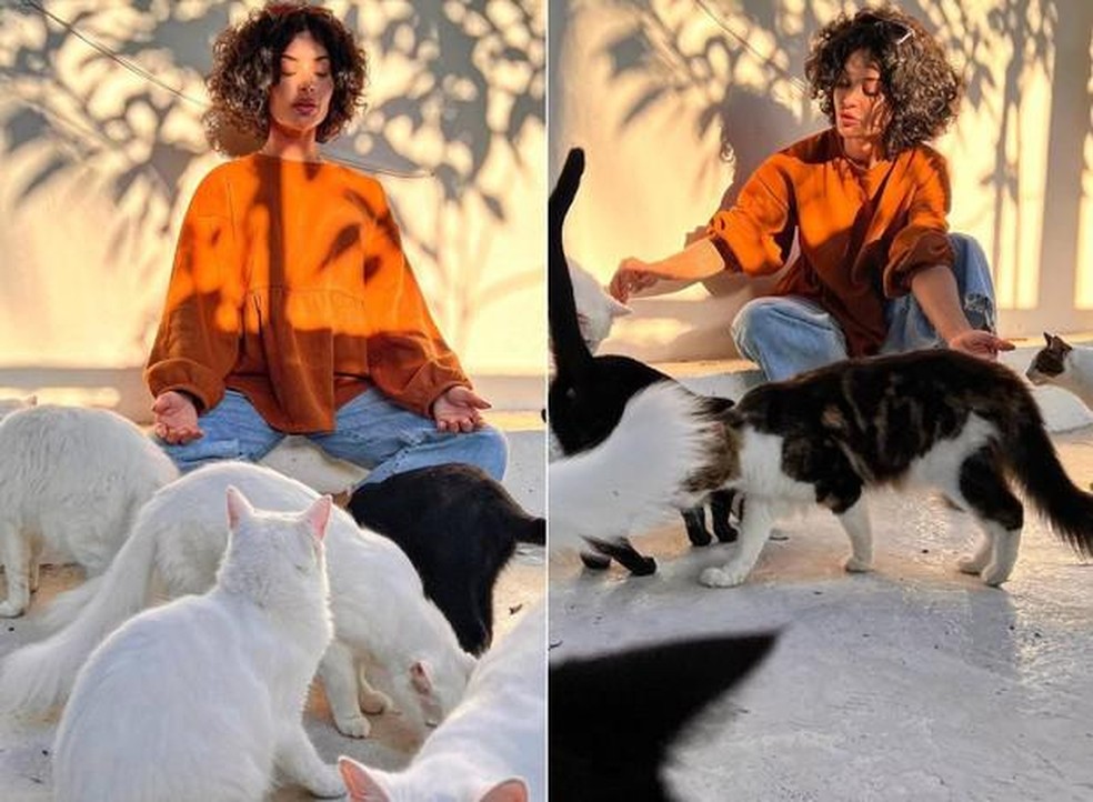 Aline Campos fez um gatil para criar melhor os gatos dos quais é tutora — Foto: ( Instagram/ @soualinecampos/ Reprodução)