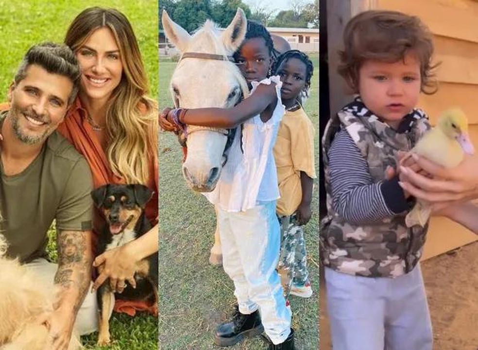Bruno Gagliasso, Giovanna Ewbank e os filhos, Titi, Bless e Zyan, com os animais que foram adotados pela família — Foto: ( Instagram/ @gioewbank/ Reprodução)