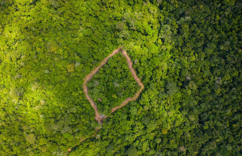 Vista aérea do espaço reservado para Xamã — Foto: Proteção Animal Mundial/ Divulgação
