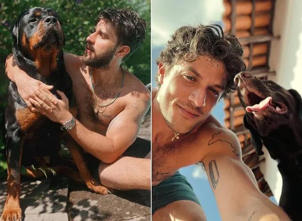 Chay Suede é tutor de sete cachorros — Foto: ( Instagram/ @chay/ Reprodução)