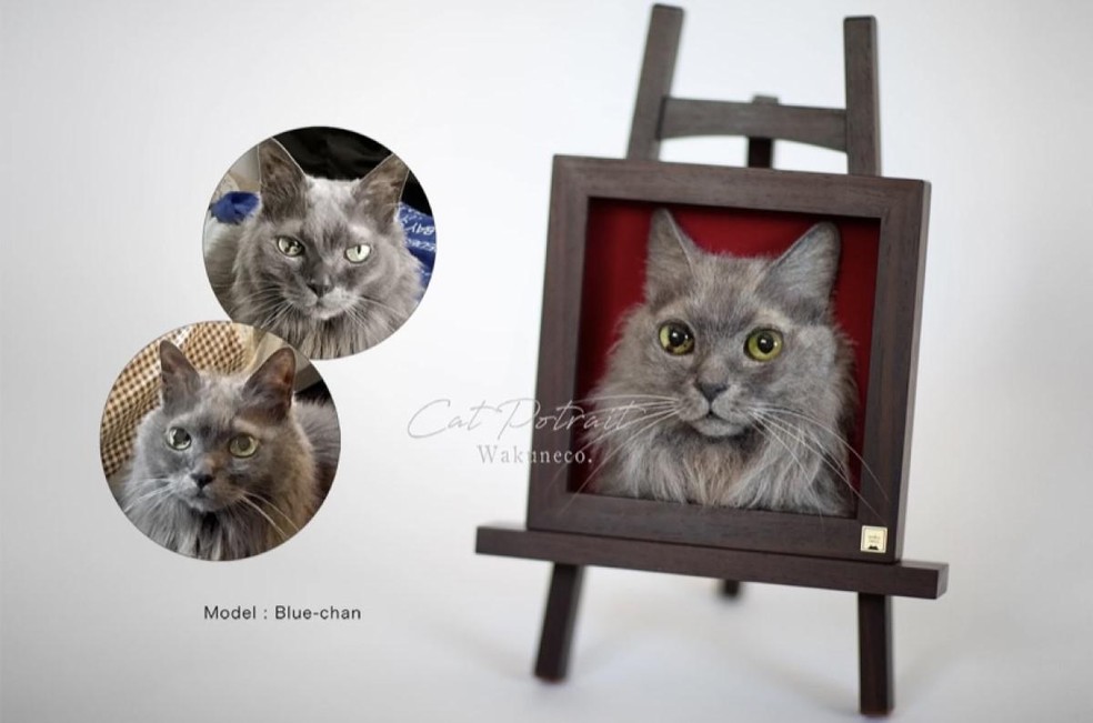 A imagem mostra um retrato realista em 3D do rosto de um gato, feito pela artista Sachi — Foto: ( Site Wakuneco/ Divulgação)