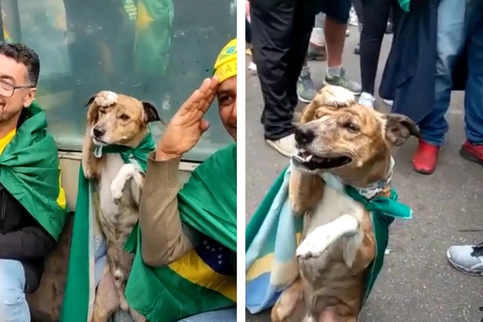 O vídeo foi gravado na Avenida Paulista, em São Paulo, durante as manifestações no Dia da Independência — Foto: ( Twitter / @GalhegoGustavo / Reprodução)
