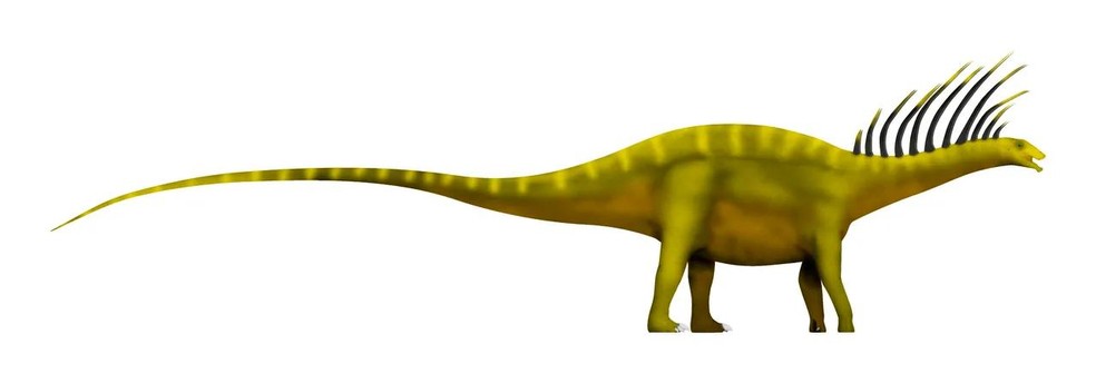 Reprodução digital do Bajadasaurus pronuspinax — Foto: ( Slate Weasel/ Wikimedia Commons/ CreativeCommons)