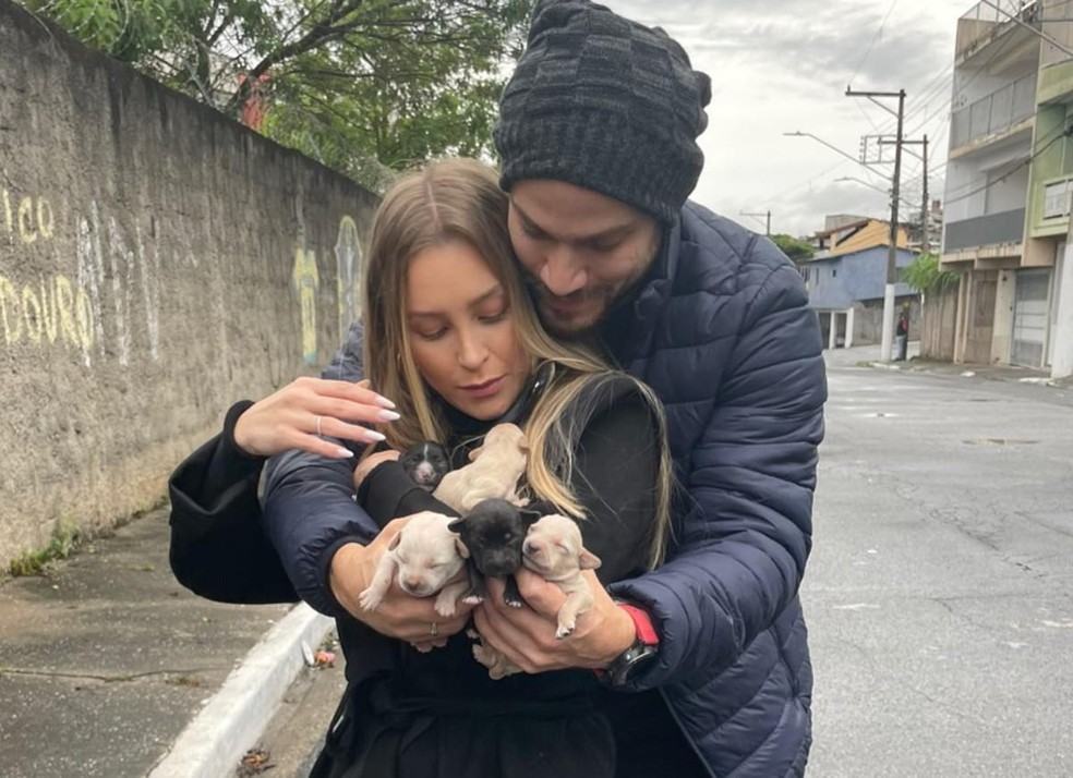 No domingo, Felipe e Carla resgataram filhotes de cachorro na zona leste da capital paulista — Foto: ( Instagram/ Reprodução)