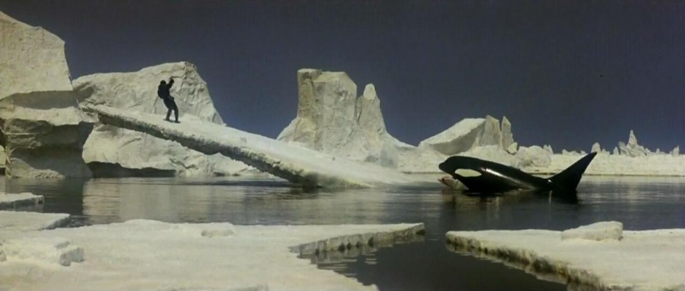 Orca: A Baleia Assassina (1977)  – apesar do nome, as orcas não são baleias e também nunca mataram nenhum humano em seu habit natural — Foto: Paramount Pictures/ Reprodução