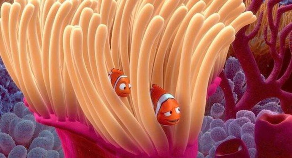 Nemo e seu pais em sua casa, uma anêmona — Foto: Pixar/ Reprodução