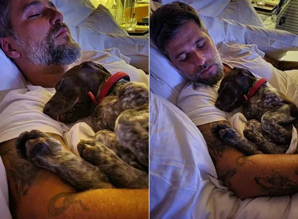 Bruno Gagliasso tira uma soneca com o cachorro Leão — Foto: ( Instagram/ @gioewbank/ Reprodução)