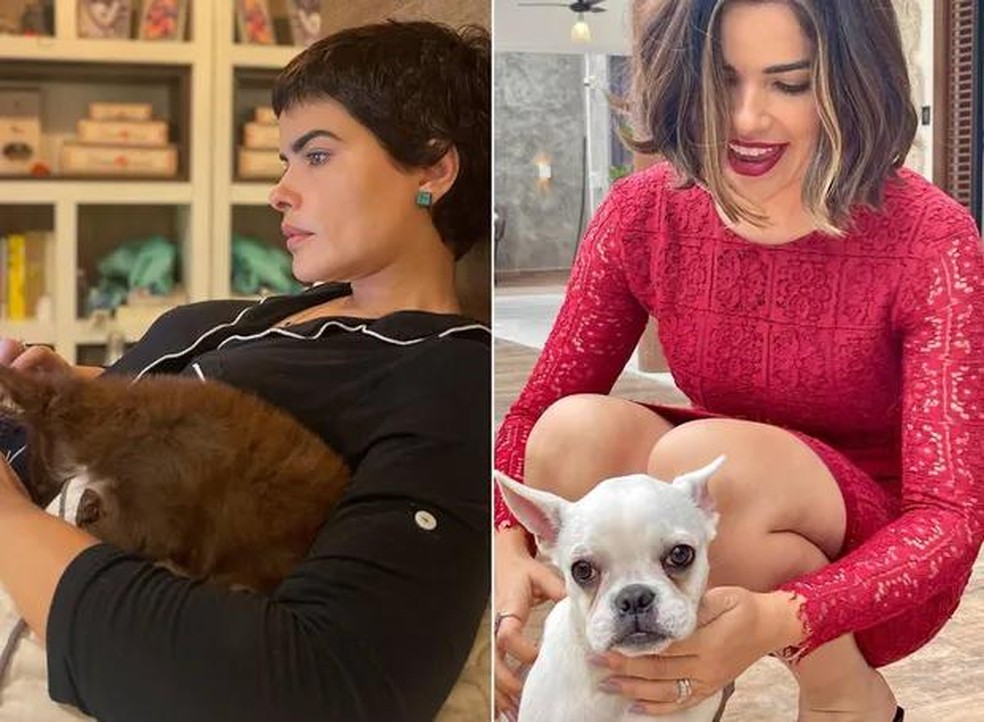 Vanessa Giácomo e seus pets — Foto: ( Instagram/ @vanessagiacomo/ Reprodução)
