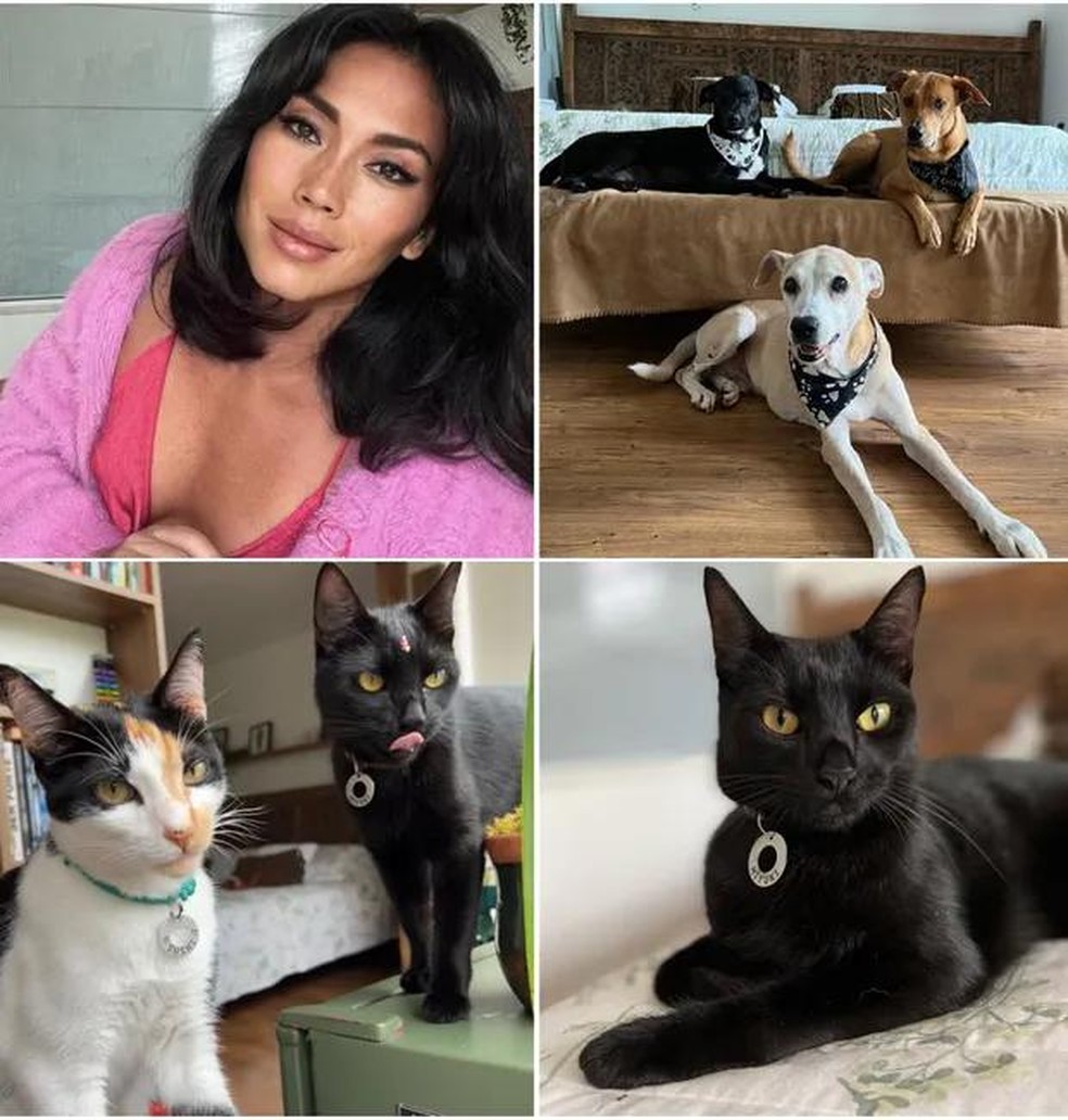 Danni Suzuki e 5 dos seus 6 pets — Foto: ( Reprodução / Instagram)