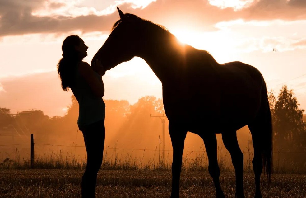 A terapia assistida com cavalos traz benefícios físicos, psíquicos e cognitivos — Foto: Canva/ CreativeCommons