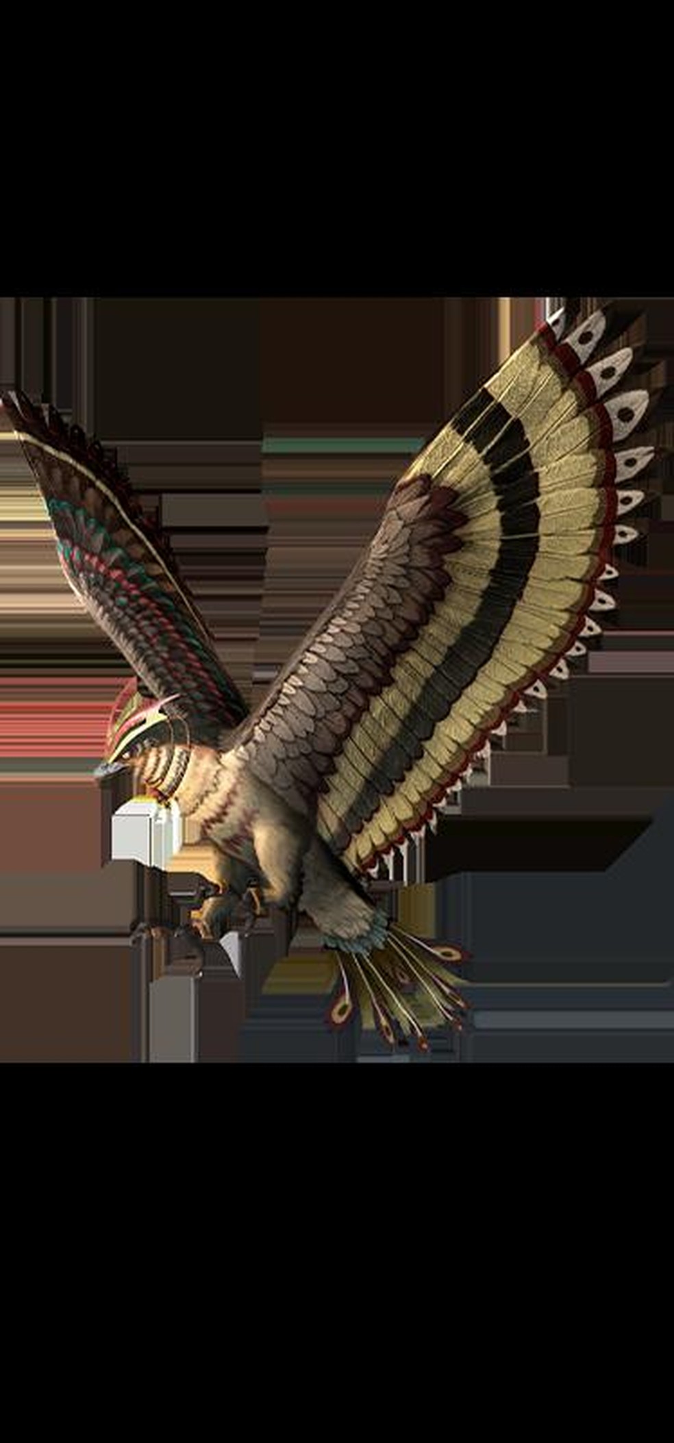 Os falcões são as menores aves de rapina, medindo cerca de 15 a 60 cm de comprimento — Foto: ( Garena/ Divulgação)