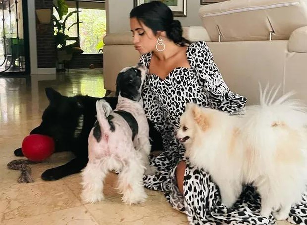 Camila Cabello e seus três cachorros, Thunder, Leo e Tarzan — Foto: ( Instagram/ @camila_cabello/ Reprodução)