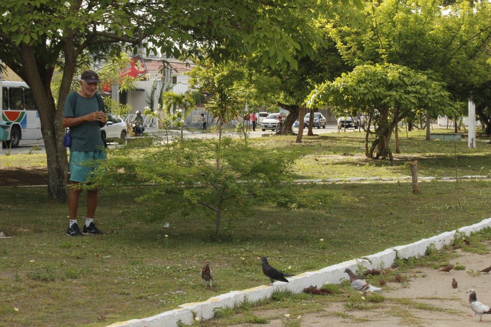 Chico chega na praça, assobia para chamar os pássaros, coloca xerém no meio-fio e aguarda, ali perto, a chegada de seus amigos — Foto: Yara Guerra/ Vida de Bicho