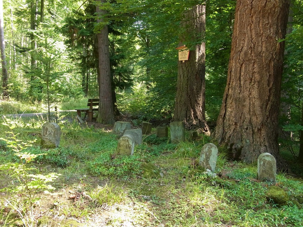 Cemitérios e crematórios particulares são outras opções para enterrar o pet — Foto: Pixabay/ Harald Matern/ Creative Commons