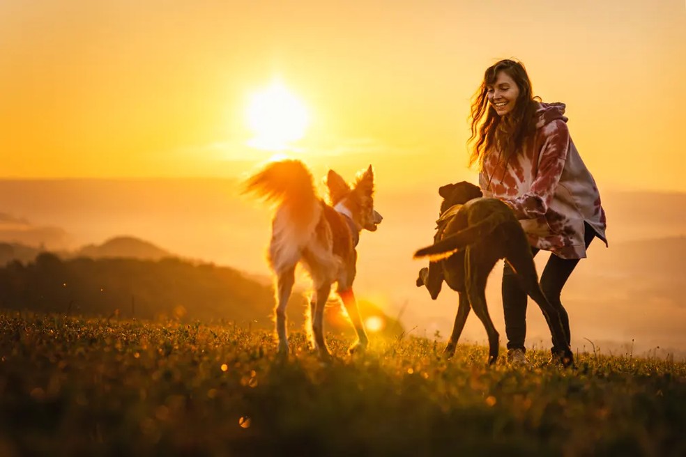 Sarah Ebner registrou dois cachorros e sua tutora brincando ao pôr do sol — Foto: Sarah Ebner/ Divulgação