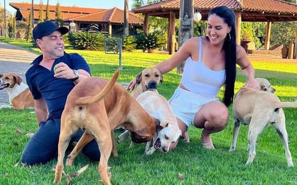 Graciele Lacerda sobre cães adotados: "Sem eles minha vida seria vazia" — Foto: Instagram/ @gracielelacerdaoficial / Reprodução