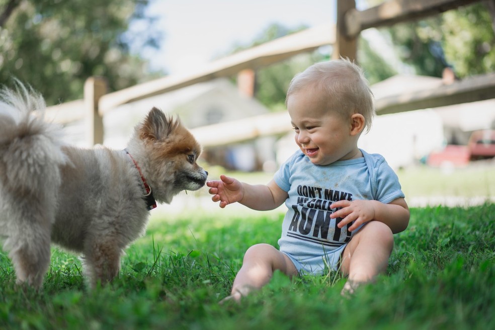 Além da dermatite, outra condição cujo desenvolvimento pode ser evitado a partir da exposição a cachorros desde cedo é a asma — Foto: Unsplash/ Zachary Kadolph/ CreativeCommons