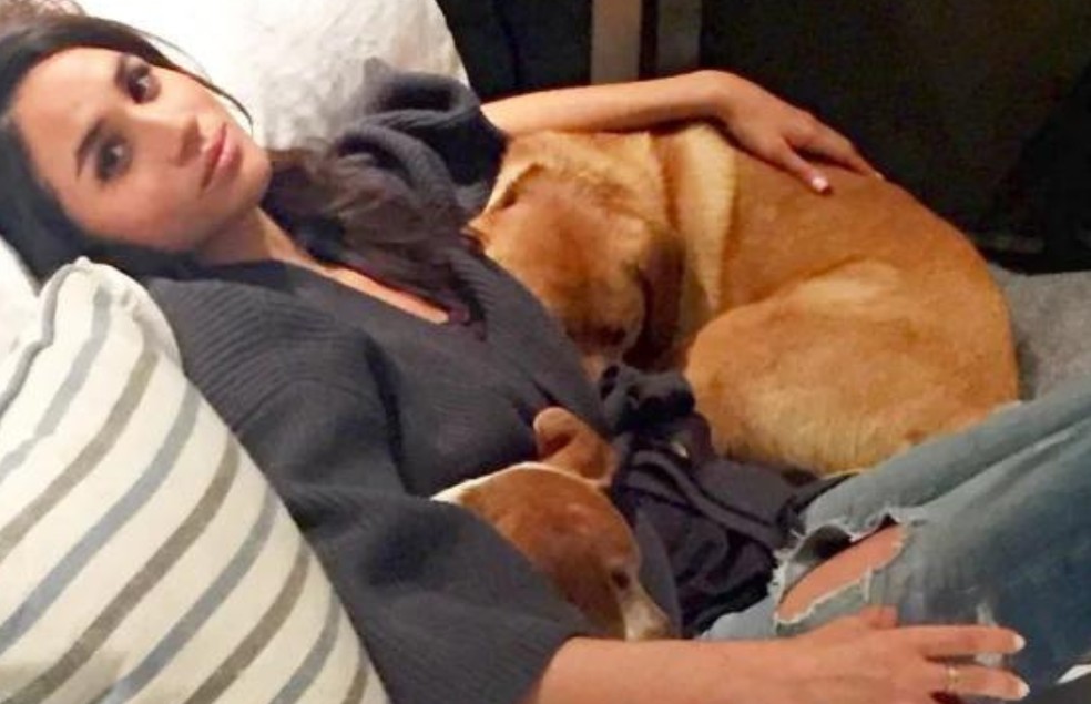 Meghan ao lado de seus dois cães, Bogart e Guy — Foto: Instagram/ Reprodução
