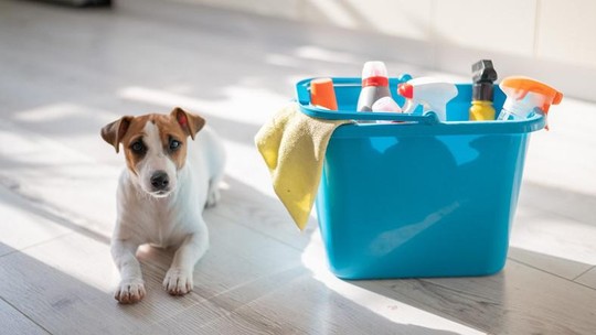 Produtos de limpeza podem fazer mal para seus pets?