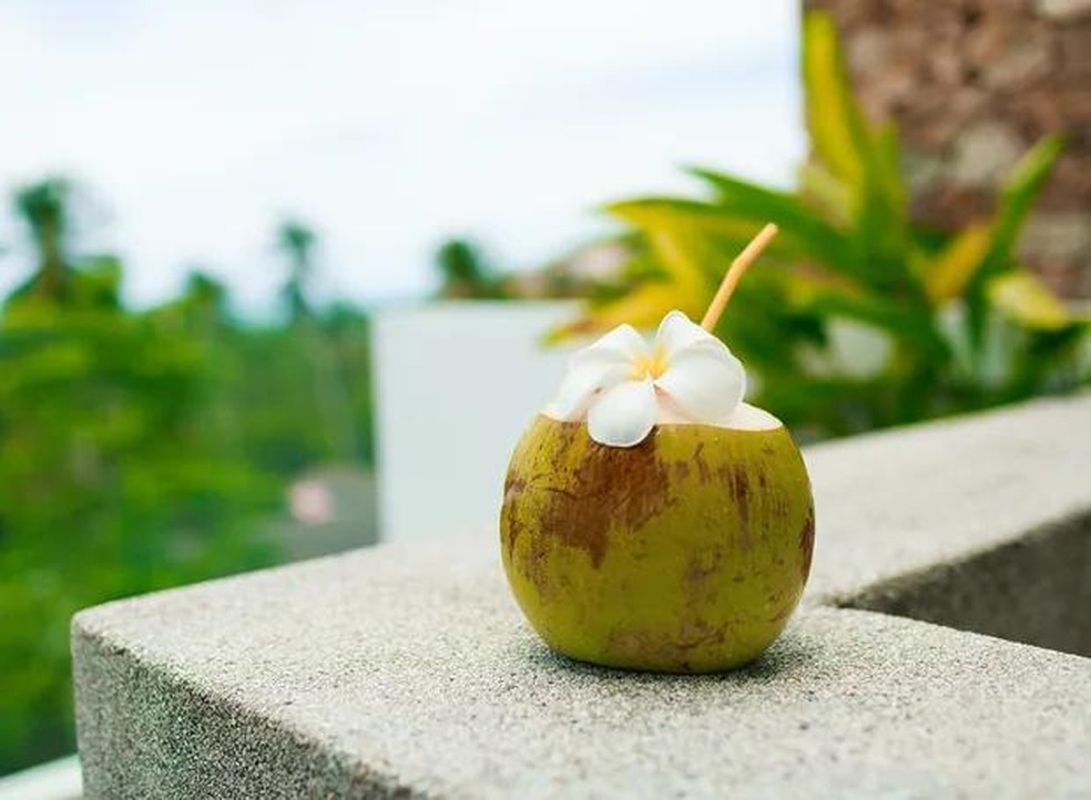 É importante lembrar que a água de coco não substitui a água filtrada — Foto: Freepik/ Creative Commons