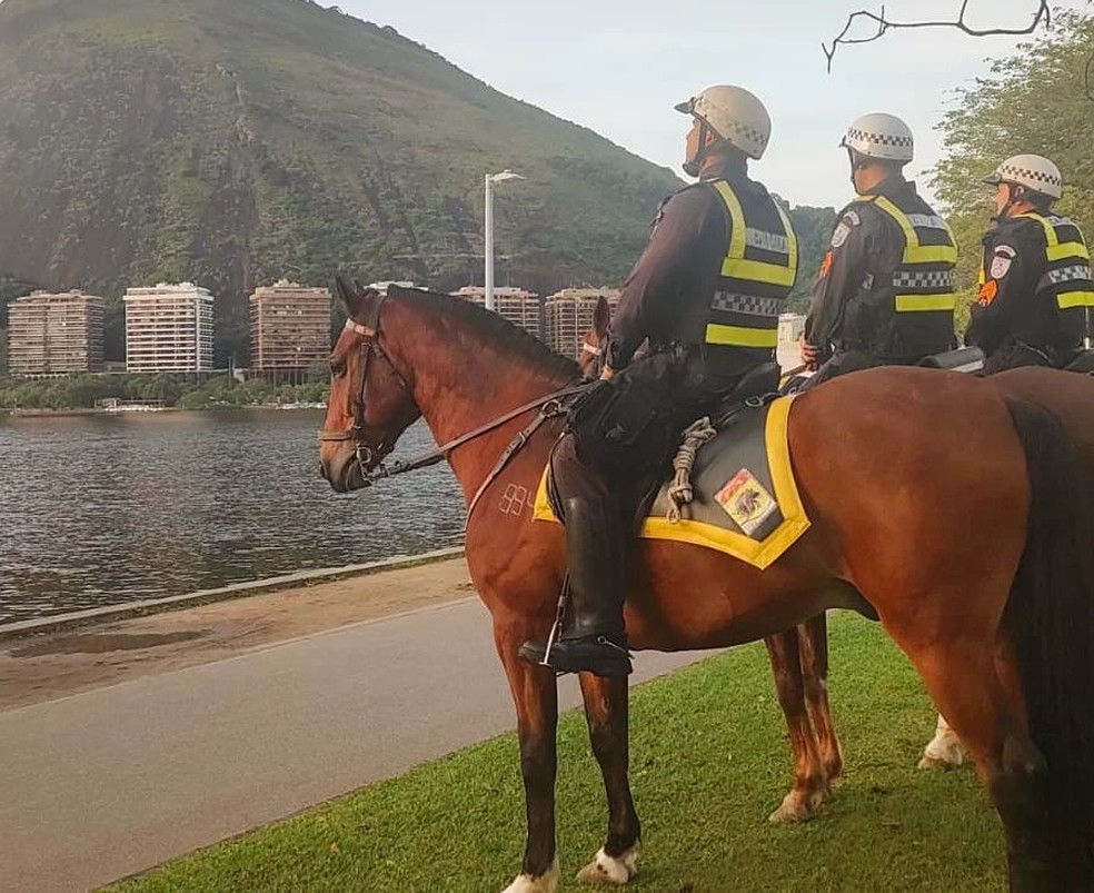 Os cavalos utilizados pelos Regimentos de Polícia Montada geralmente são da raça brasileiro de hipismo — Foto: Instagram/ @rpmont_pmerj/ Reprodução
