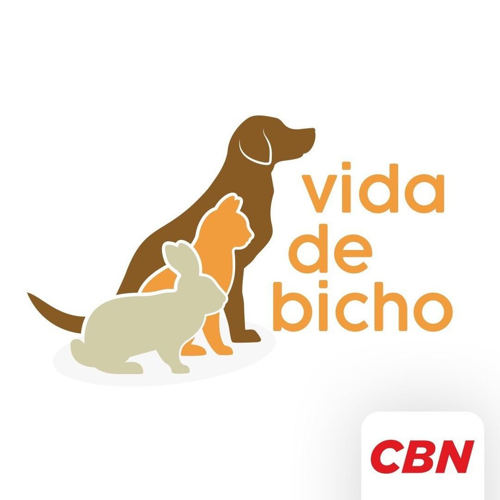 Duas vezes por semana, as principais reportagens do Vida de Bicho são compartilhadas com os ouvintes da rádio CBN — Foto: ( Reprodução/ Instagram)