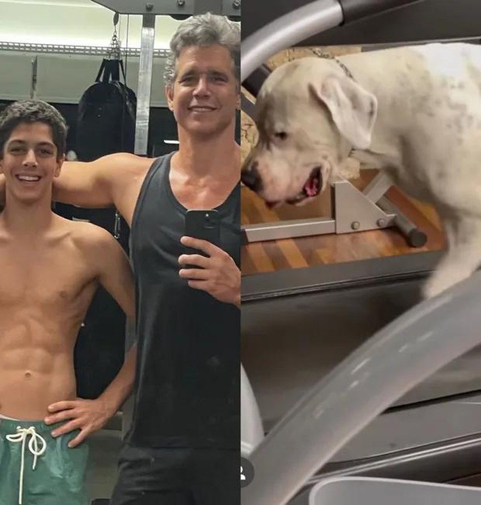 Felipe e Marcio Garcia (esquerda) e o cachorro da família, Maestro (direita) — Foto: ( Reprodução / Instagram)