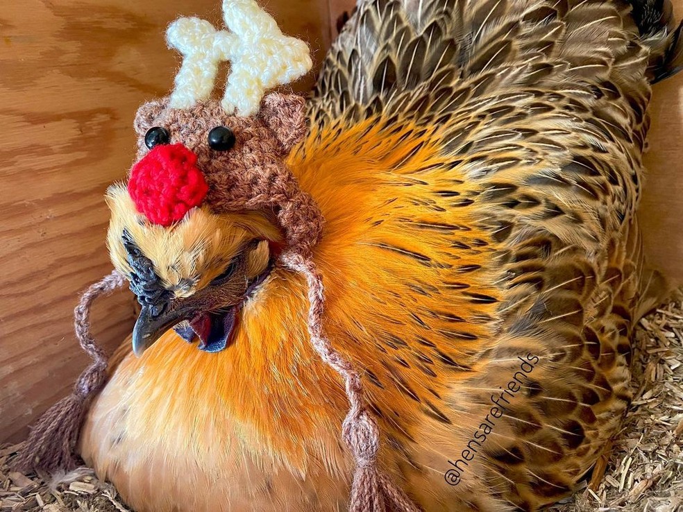 O chapéu de rena feito de crochê serviu perfeitamente — Foto: Instagram/ @hensarefriends/ Reprodução