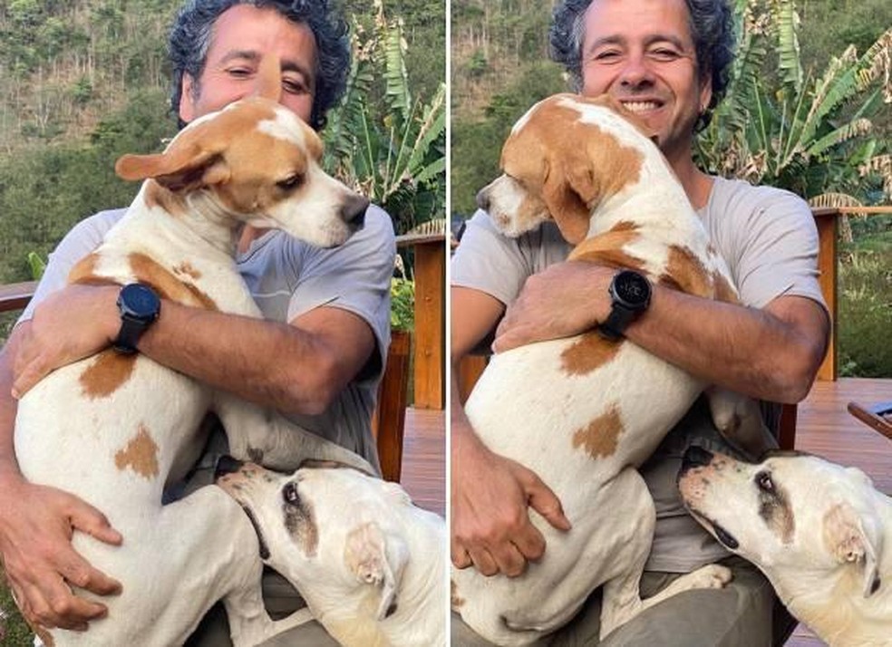 Marcos Palmeira com dois dos cachorros que é tutor — Foto: ( Instagram/ @marcospalmeiraoficial/ Reprodução)