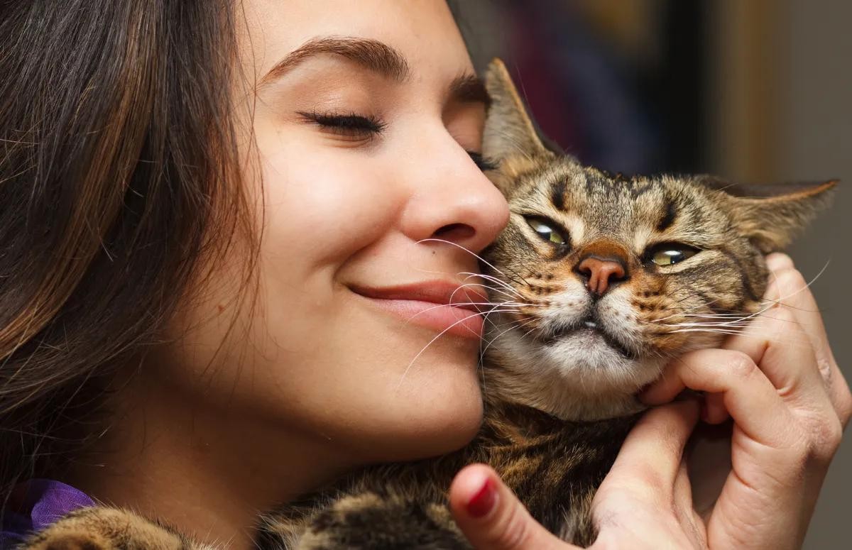 Cat sitter a profissão para quem ama gatos Mundo Felino Vida de Bicho