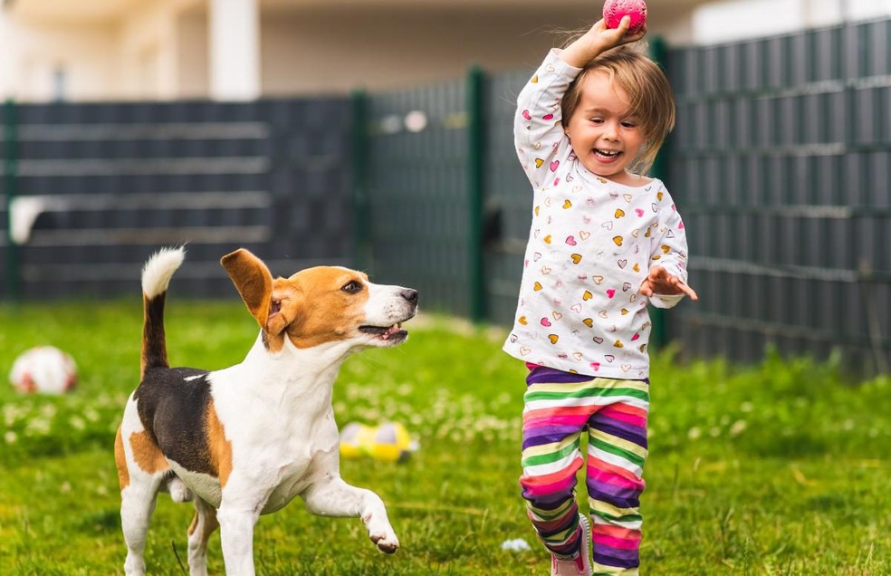 Brincadeiras entre cães e crianças desenvolvem o sistema motor infantil — Foto: Canva/ CreativeCommons