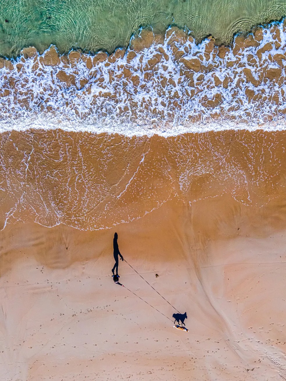 A fotografia de Russell Charters mostra seu parceiro passeando com seu cachorro, Luna, em uma praia perto de sua casa, na Austrália — Foto: Russell Charters/ Divulgação