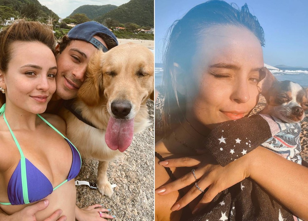 Larissa Manoela e André Luiz Frambach com Nala e Minnie na praia — Foto: Instagram/ @larissamanoela / Reprodução