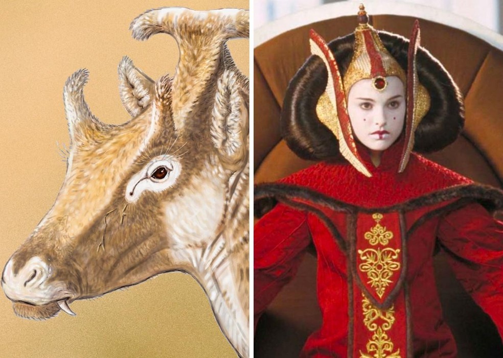 Star Wars Day: criaturas da franquia que foram inspiradas em animais, Comportamento